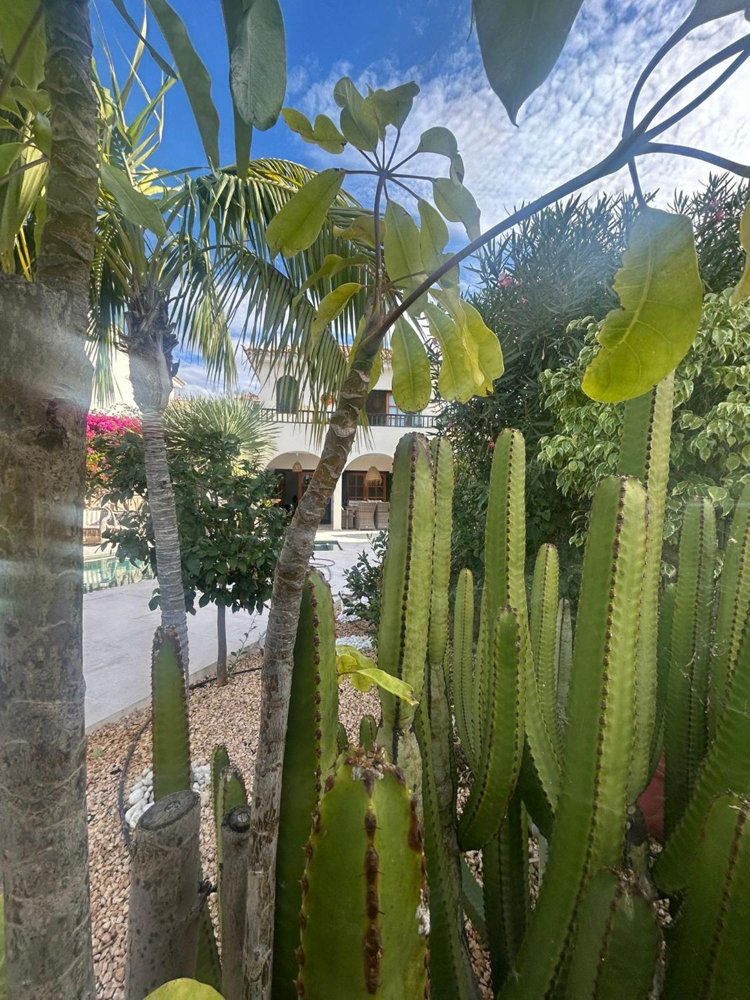 Villa Ibiza - Beautiful House With Private Pool Chayofa Bagian luar foto